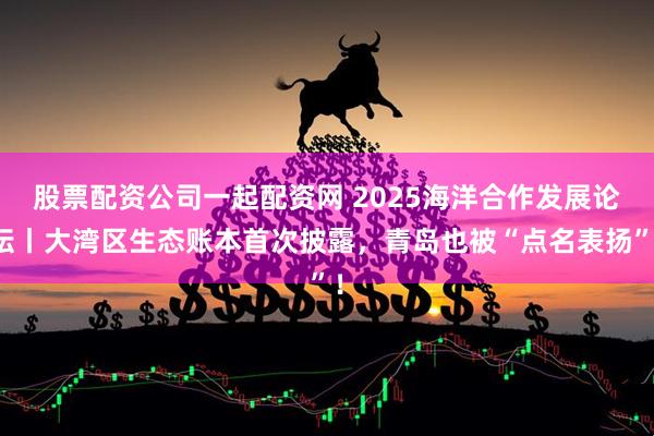 股票配资公司一起配资网 2025海洋合作发展论坛丨大湾区生态账本首次披露，青岛也被“点名表扬”！